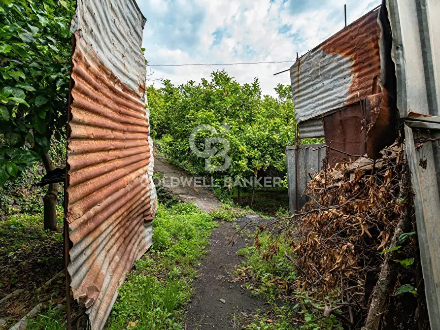 Immagine 8 di Villa in vendita  in Via Vitt Emanuele III 204 a Acireale