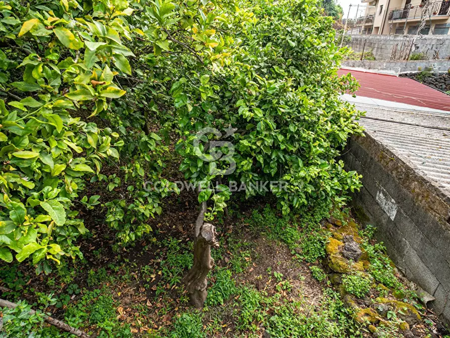 Immagine 9 di Villa in vendita  in Via Vitt Emanuele III 204 a Acireale