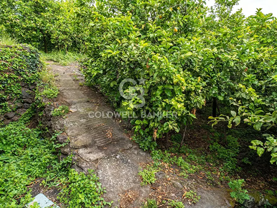 Immagine 10 di Villa in vendita  in Via Vitt Emanuele III 204 a Acireale