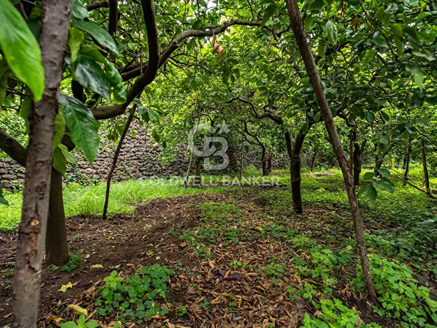 Immagine 11 di Villa in vendita  in Via Vitt Emanuele III 204 a Acireale