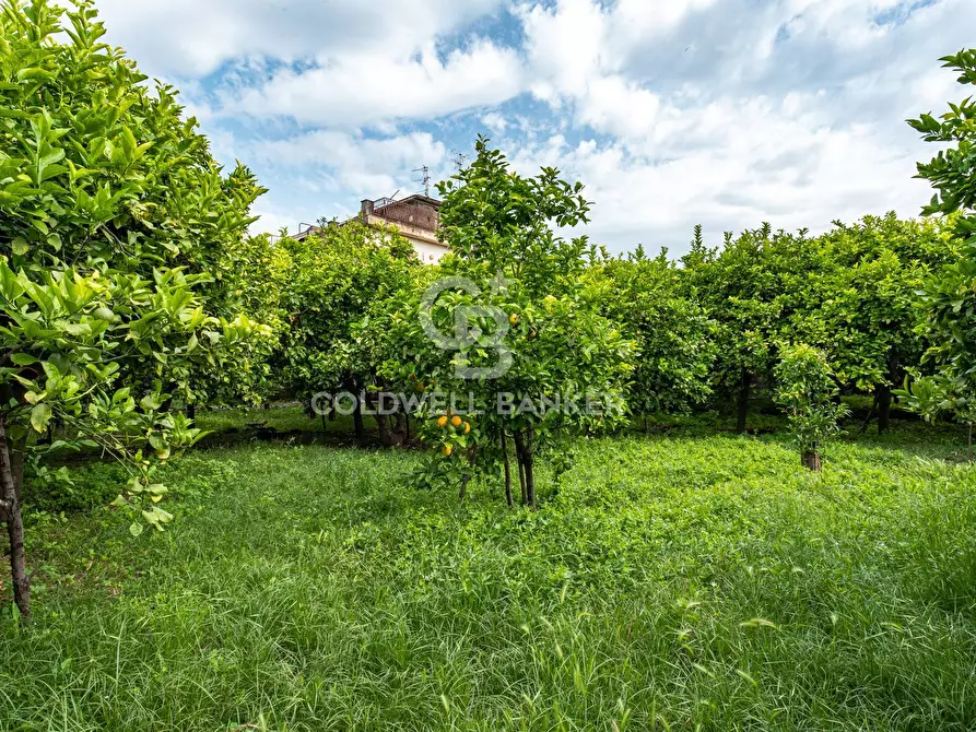 Immagine 12 di Villa in vendita  in Via Vitt Emanuele III 204 a Acireale