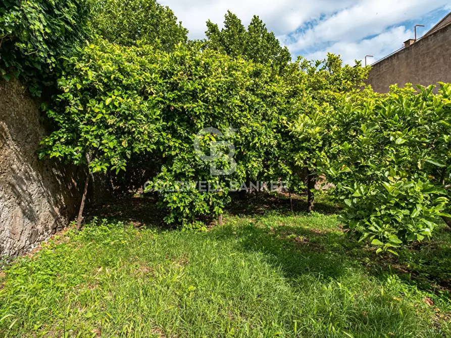 Immagine 14 di Villa in vendita  in Via Vitt Emanuele III 204 a Acireale