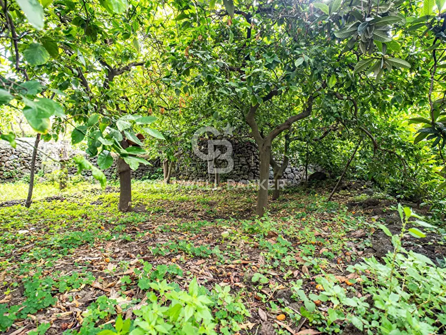 Immagine 15 di Villa in vendita  in Via Vitt Emanuele III 204 a Acireale