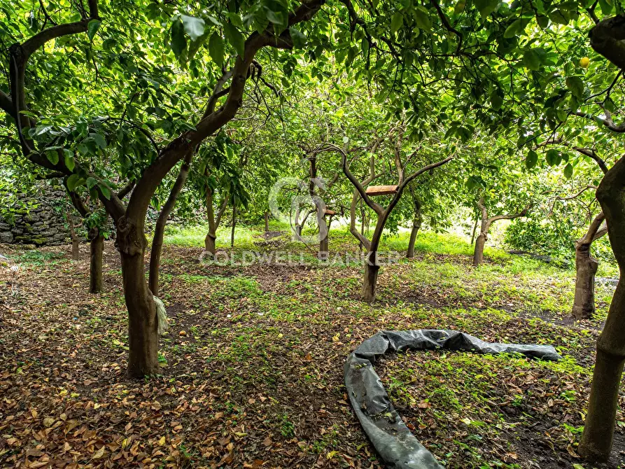 Immagine 16 di Villa in vendita  in Via Vitt Emanuele III 204 a Acireale