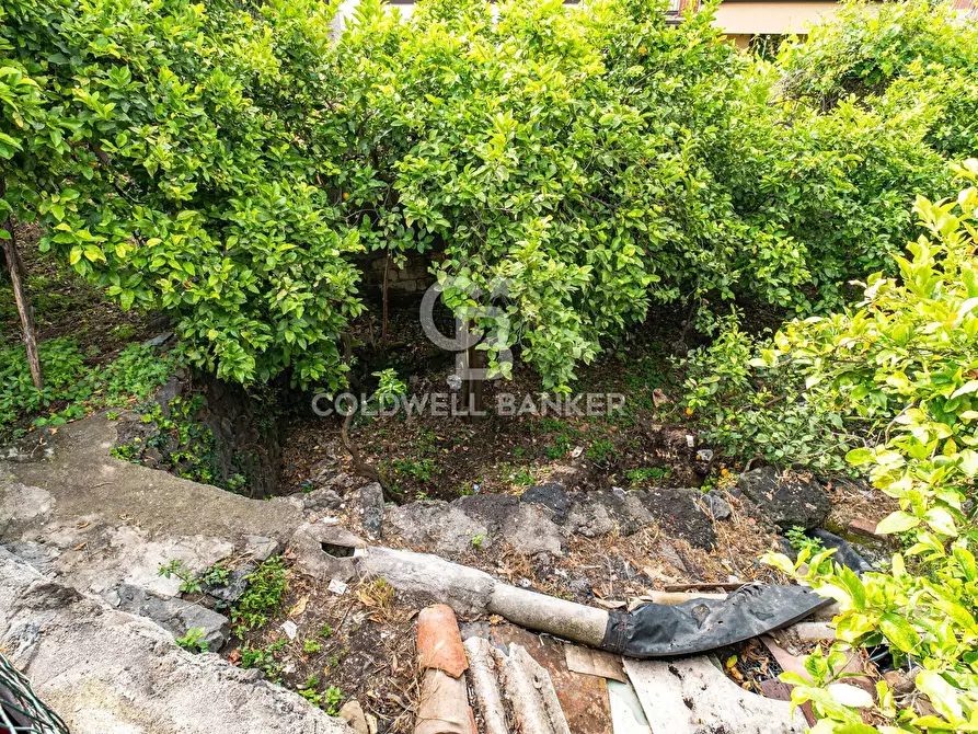 Immagine 34 di Villa in vendita  in Via Vitt Emanuele III 204 a Acireale