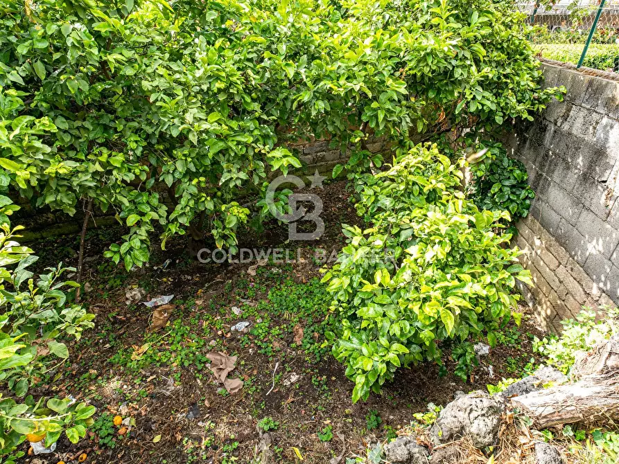 Immagine 36 di Villa in vendita  in Via Vitt Emanuele III 204 a Acireale