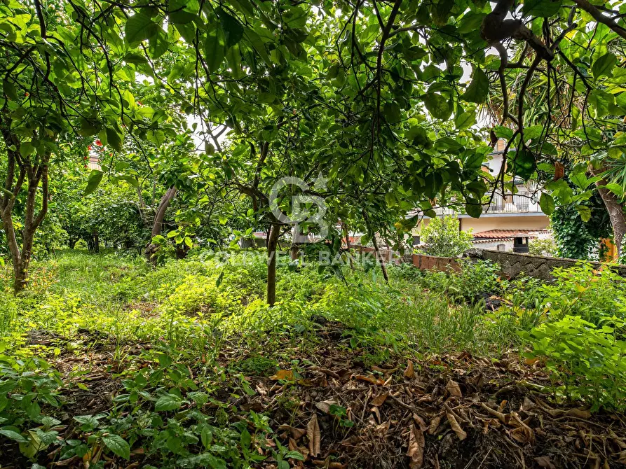 Immagine 40 di Villa in vendita  in Via Vitt Emanuele III 204 a Acireale