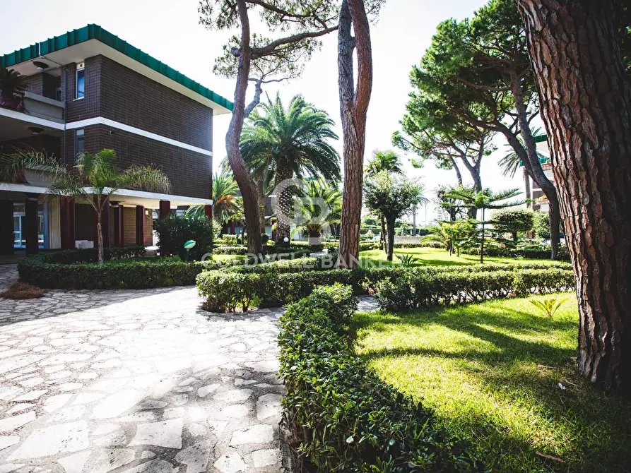 Immagine 3 di Appartamento in vendita  in Via Etruria 51 sc a Santa Marinella