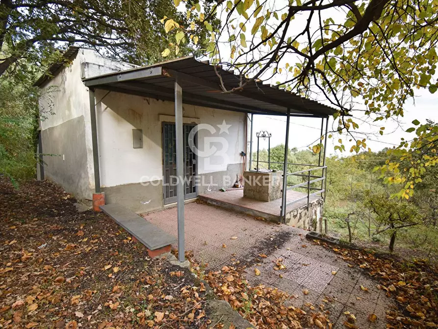 Immagine 4 di Terreno agricolo in vendita  in SP Fornazzo Linguaglossa a Piedimonte Etneo