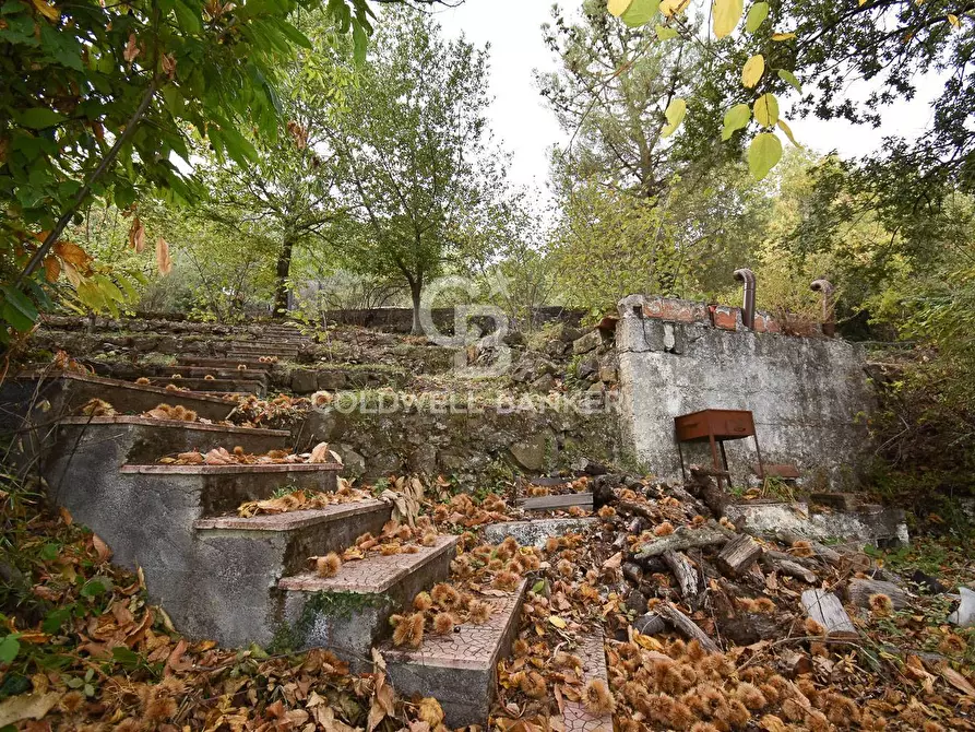 Immagine 5 di Terreno agricolo in vendita  in SP Fornazzo Linguaglossa a Piedimonte Etneo