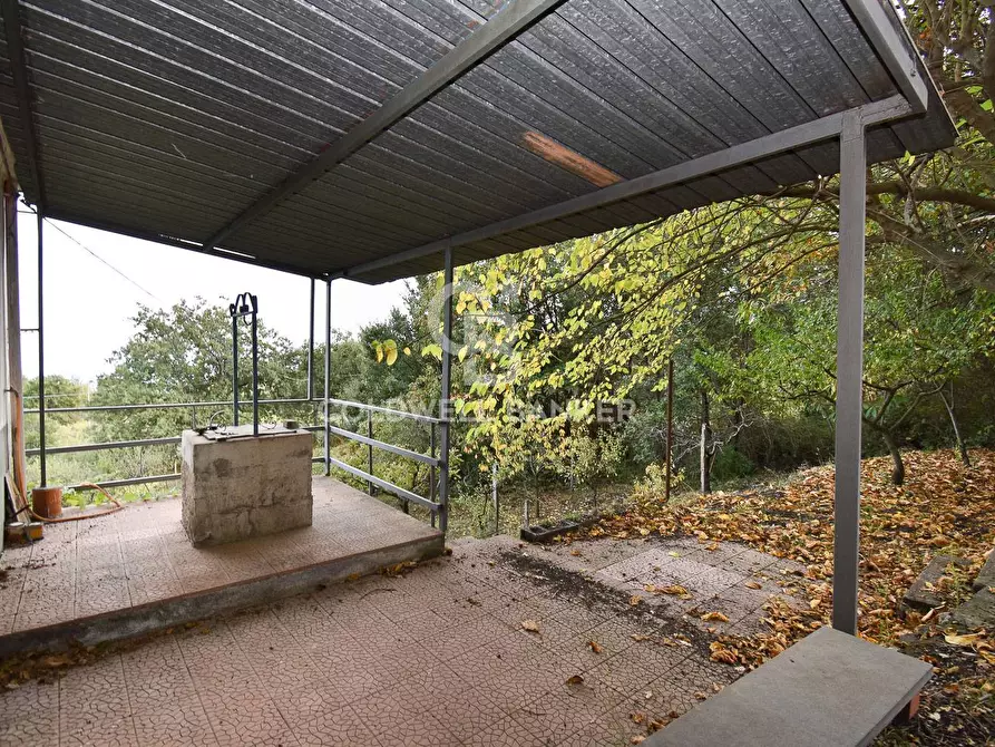 Immagine 6 di Terreno agricolo in vendita  in SP Fornazzo Linguaglossa a Piedimonte Etneo