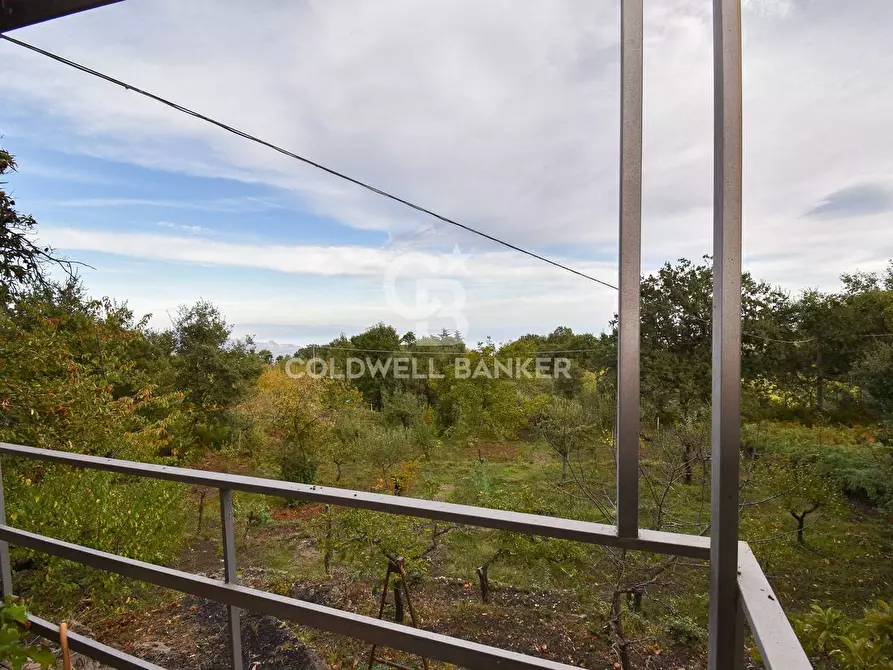 Immagine 7 di Terreno agricolo in vendita  in SP Fornazzo Linguaglossa a Piedimonte Etneo