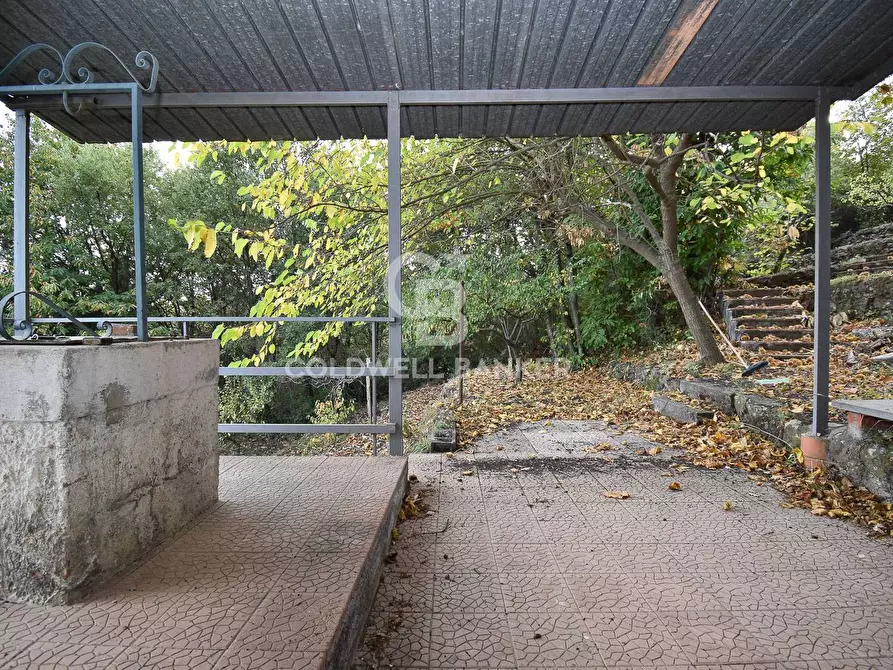 Immagine 8 di Terreno agricolo in vendita  in SP Fornazzo Linguaglossa a Piedimonte Etneo