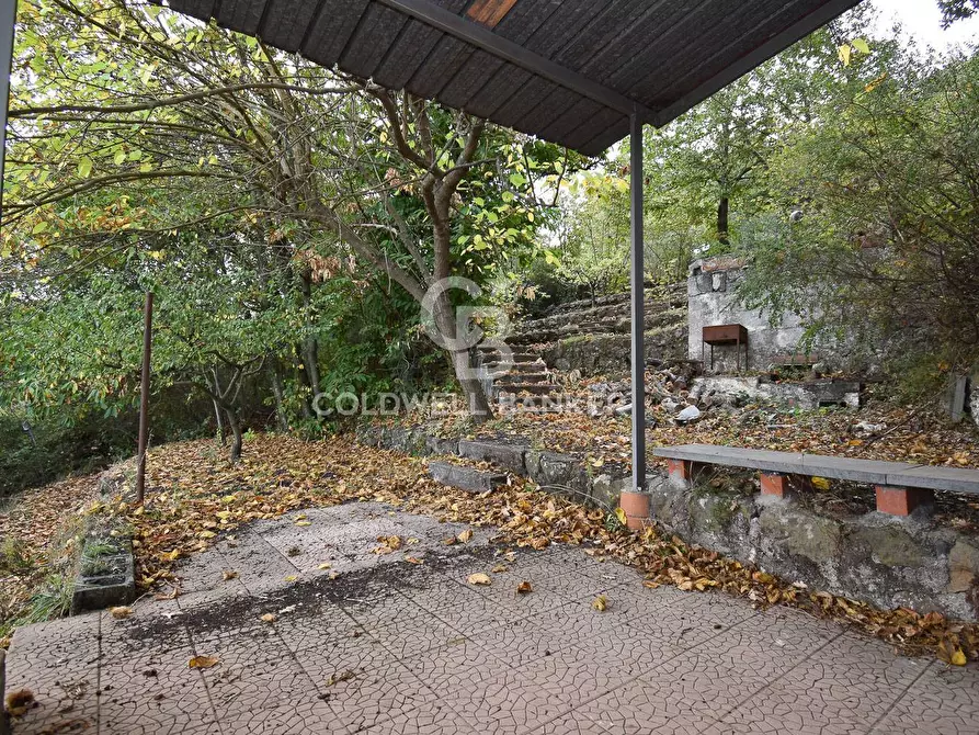 Immagine 13 di Terreno agricolo in vendita  in SP Fornazzo Linguaglossa a Piedimonte Etneo
