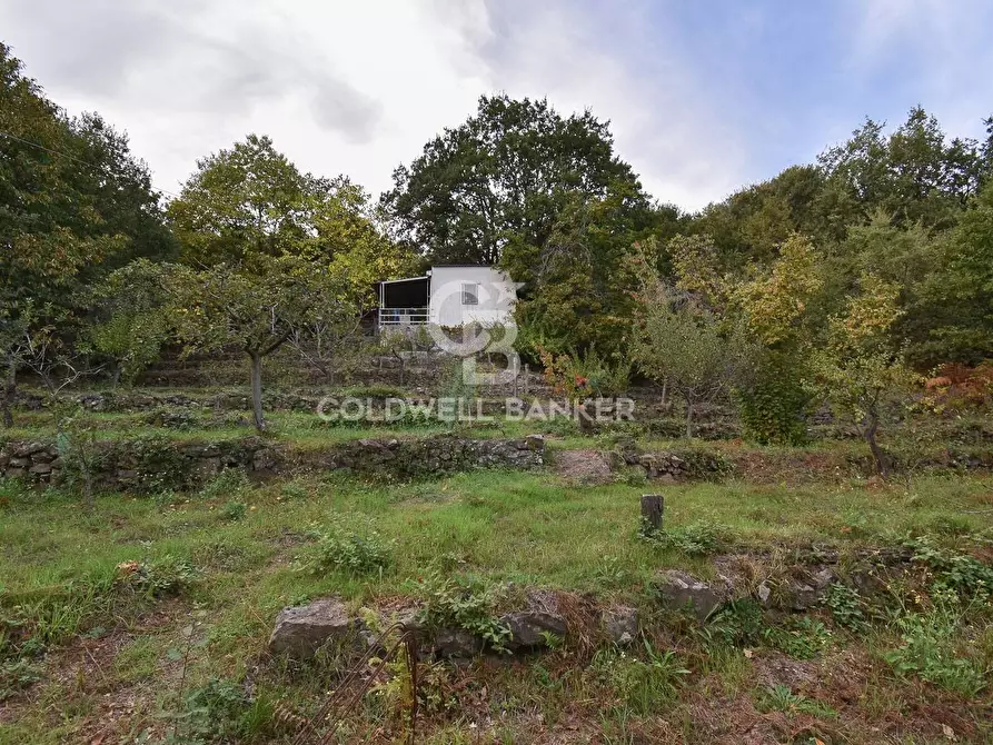 Immagine 15 di Terreno agricolo in vendita  in SP Fornazzo Linguaglossa a Piedimonte Etneo