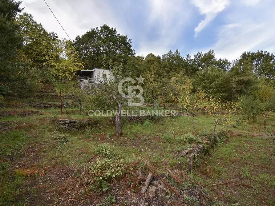 Immagine 16 di Terreno agricolo in vendita  in SP Fornazzo Linguaglossa a Piedimonte Etneo