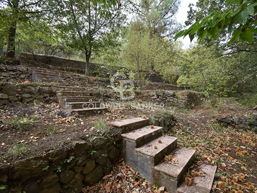 Immagine 18 di Terreno agricolo in vendita  in SP Fornazzo Linguaglossa a Piedimonte Etneo