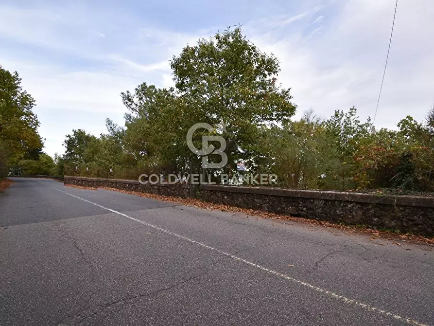 Immagine 19 di Terreno agricolo in vendita  in SP Fornazzo Linguaglossa a Piedimonte Etneo