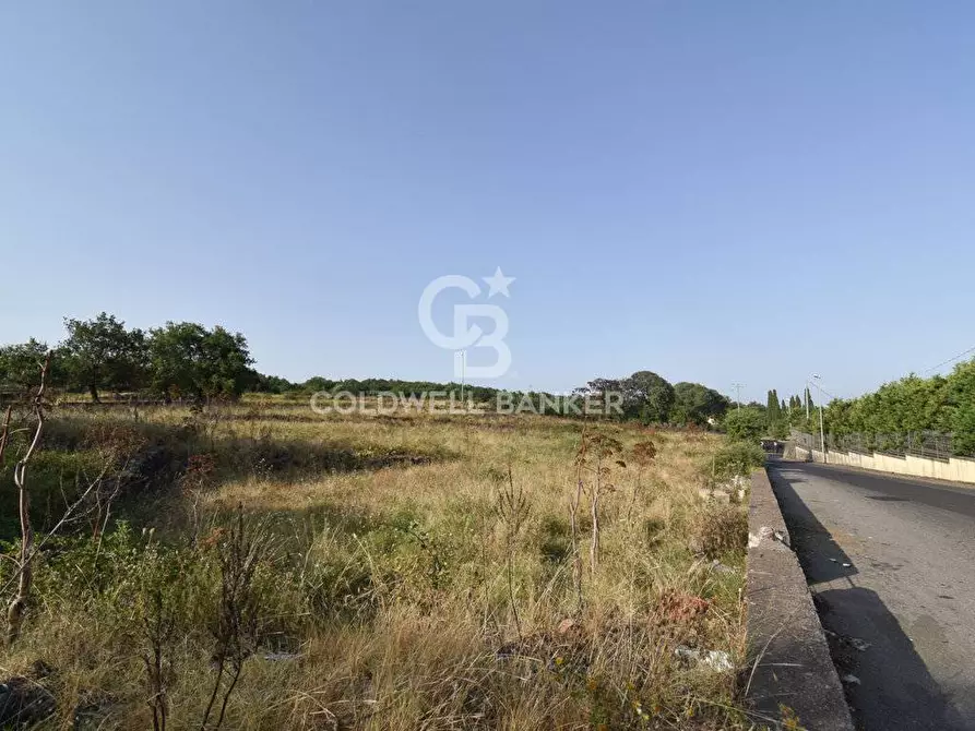 Immagine 1 di Terreno agricolo in vendita  in Via Cristaudo SN a Aci Sant'antonio