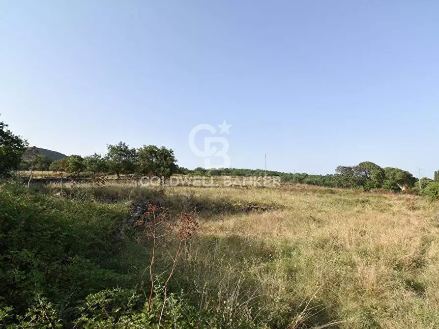 Immagine 2 di Terreno agricolo in vendita  in Via Cristaudo SN a Aci Sant'antonio