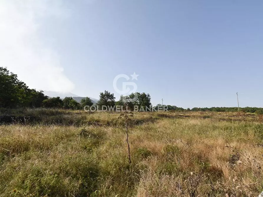 Immagine 3 di Terreno agricolo in vendita  in Via Cristaudo SN a Aci Sant'antonio