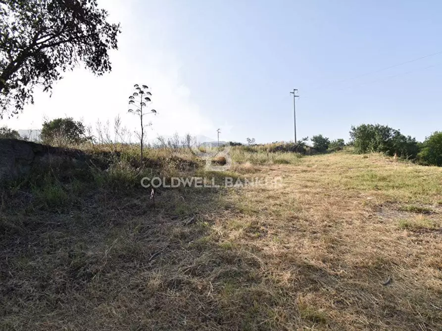 Immagine 4 di Terreno agricolo in vendita  in Via Cristaudo SN a Aci Sant'antonio
