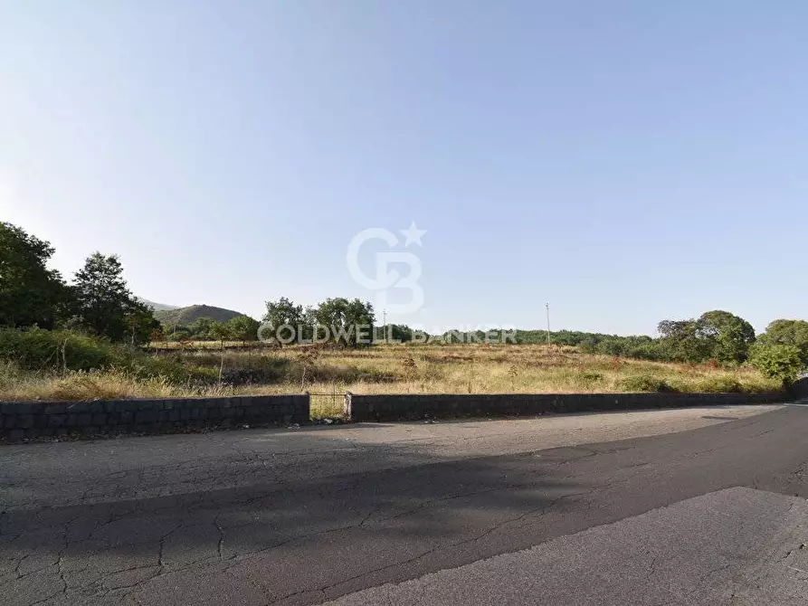 Immagine 5 di Terreno agricolo in vendita  in Via Cristaudo SN a Aci Sant'antonio