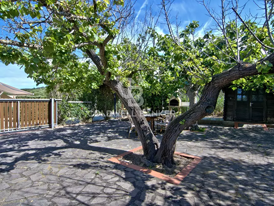 Immagine 31 di Appartamento in vendita  in Via degli Alzi a Campo Nell'elba