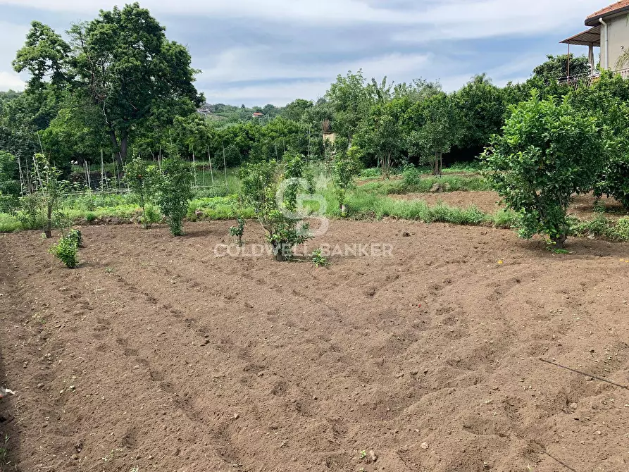 Immagine 3 di Terreno residenziale in vendita  in Sciara San Giovanni snc a Giarre