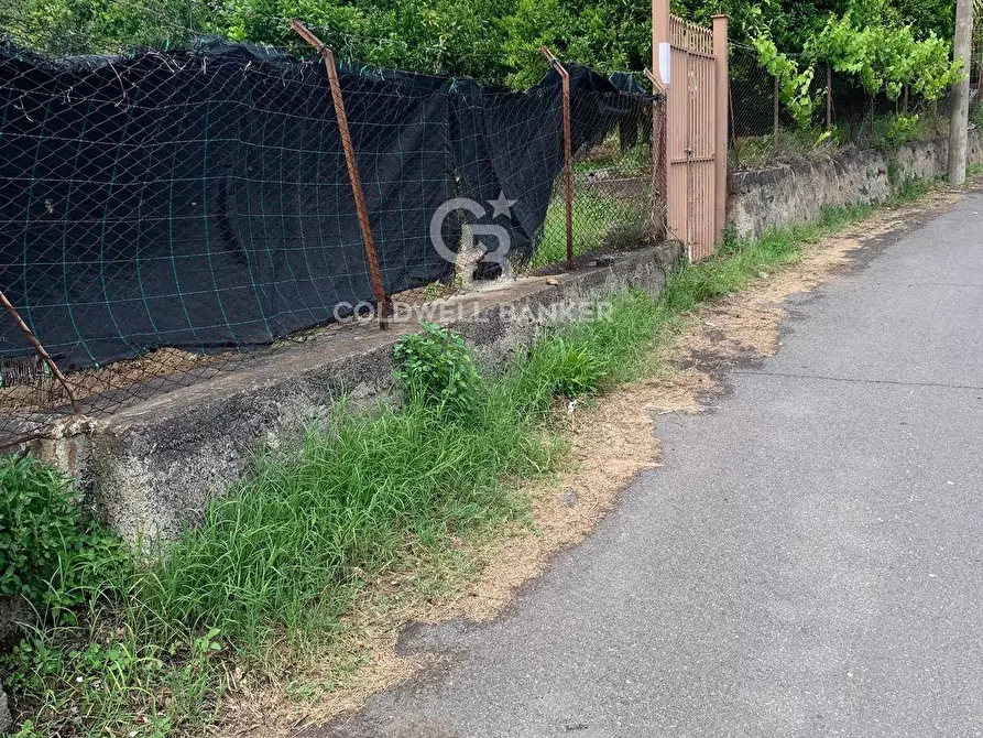 Immagine 6 di Terreno residenziale in vendita  in Sciara San Giovanni snc a Giarre