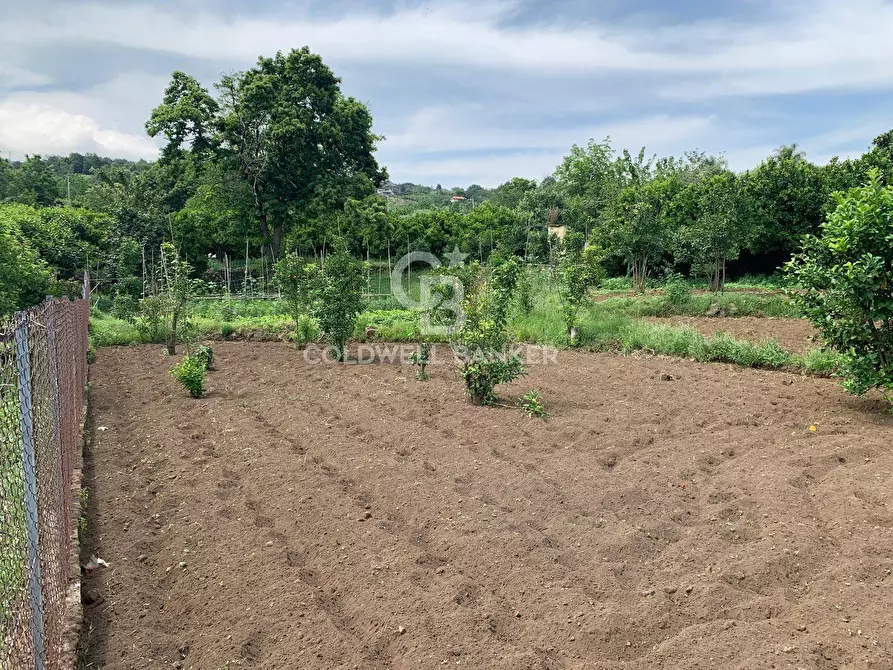 Immagine 5 di Terreno residenziale in vendita  in Sciara San Giovanni snc a Giarre