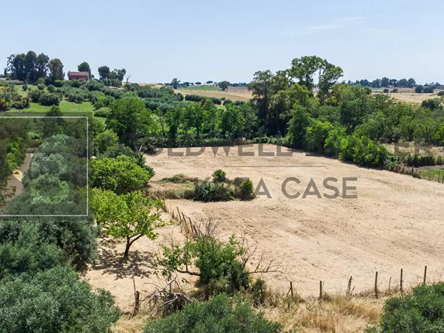 Immagine 3 di Terreno agricolo in vendita  in Via Della Falcognana 61 a Roma