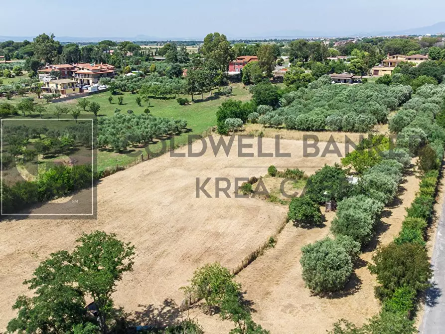 Immagine 5 di Terreno agricolo in vendita  in Via Della Falcognana 61 a Roma