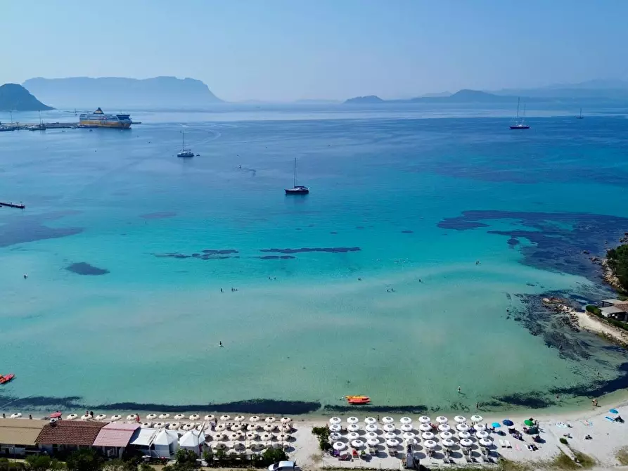 Immagine 30 di Palazzo in vendita  in Via Libertà s.n.c. a Aggius