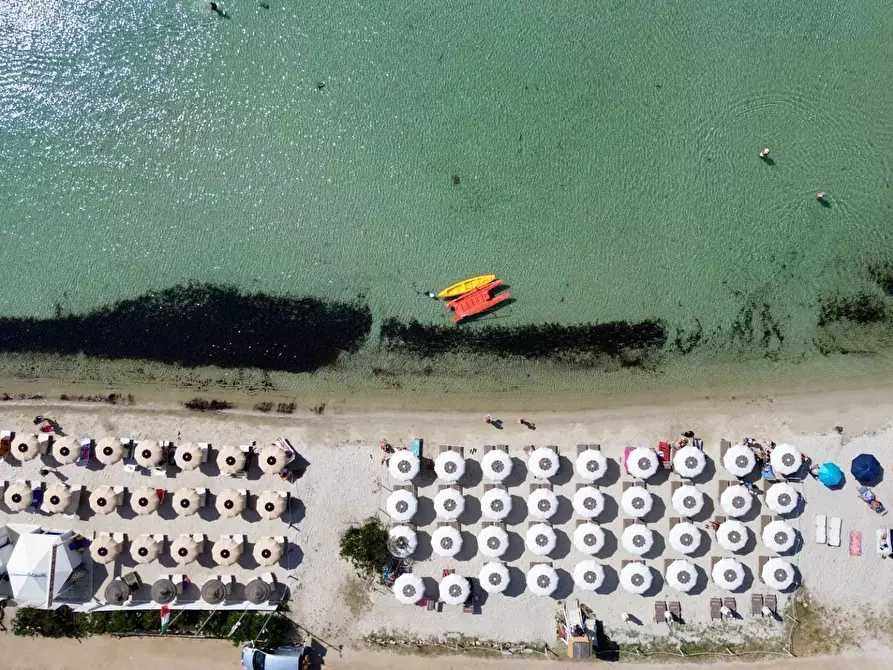 Immagine 3 di Palazzo in vendita  in Via Libertà s.n.c. a Aggius