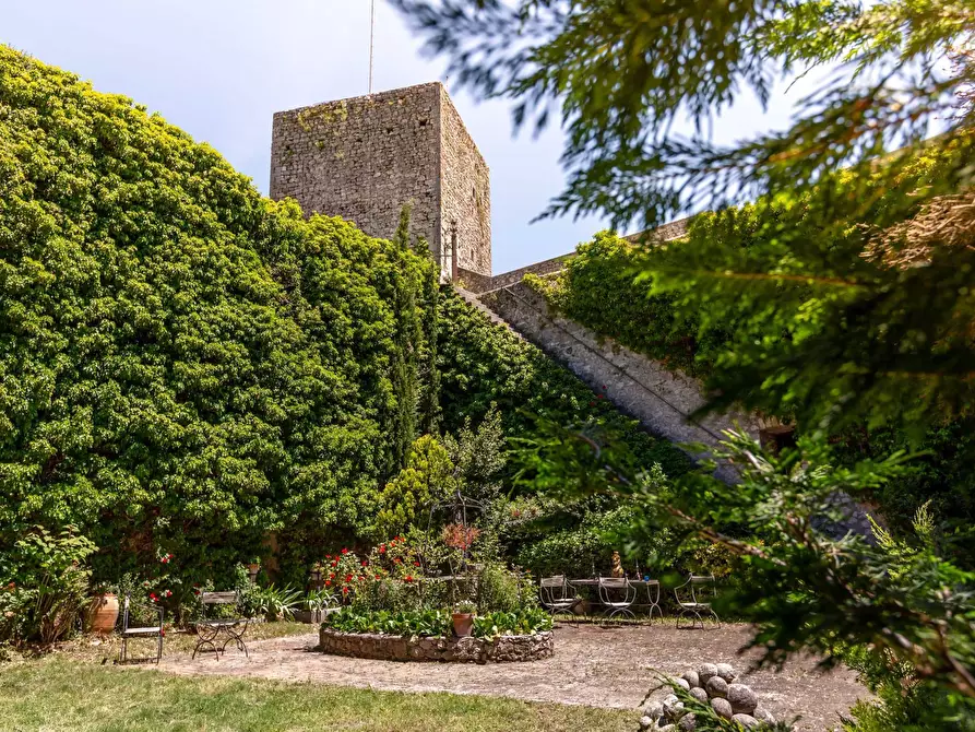 Immagine 33 di Castello in vendita  in Largo Castello a Pereto