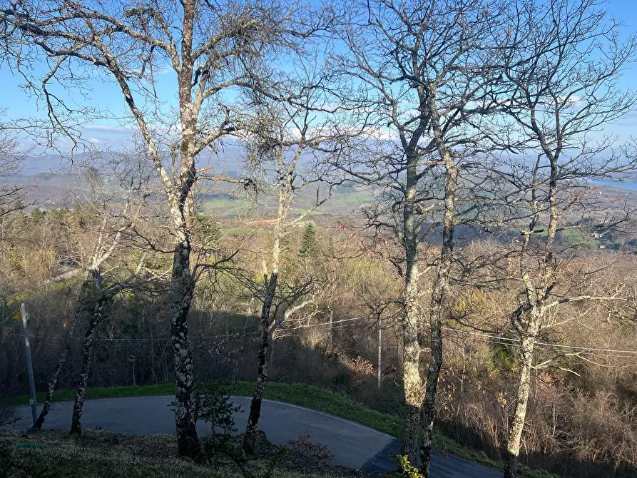 Immagine 18 di Villa in vendita  in via Pian D'Arno 347 a Caprese Michelangelo