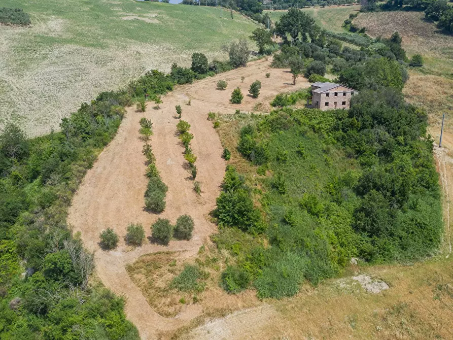 Immagine 9 di Rustico / casale in vendita  in Via Calamone a Auditore