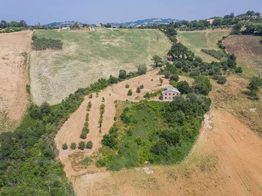 Immagine 10 di Rustico / casale in vendita  in Via Calamone a Auditore