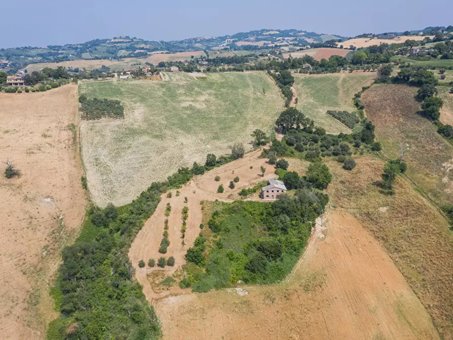 Immagine 11 di Rustico / casale in vendita  in Via Calamone a Auditore