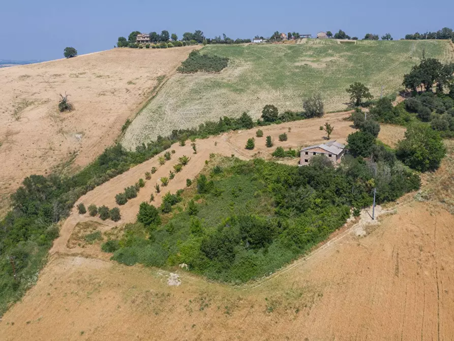 Immagine 13 di Rustico / casale in vendita  in Via Calamone a Auditore