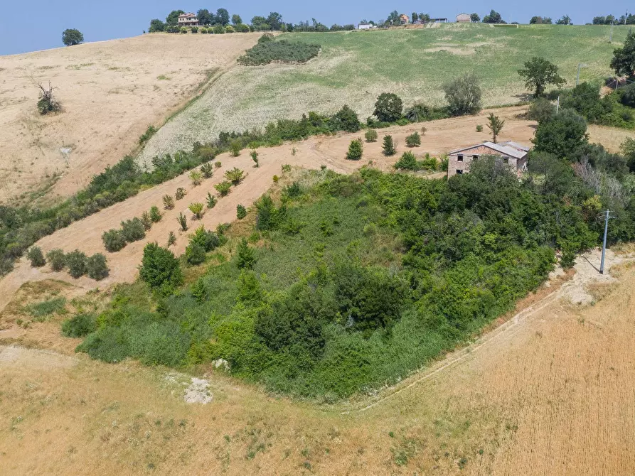 Immagine 14 di Rustico / casale in vendita  in Via Calamone a Auditore