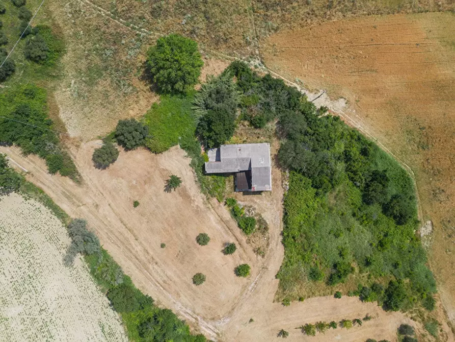 Immagine 23 di Rustico / casale in vendita  in Via Calamone a Auditore