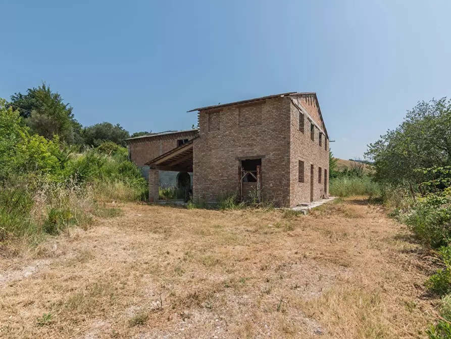 Immagine 26 di Rustico / casale in vendita  in Via Calamone a Auditore