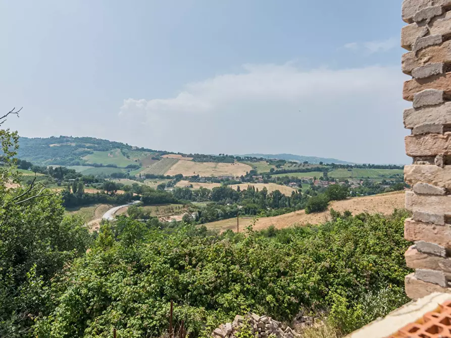 Immagine 42 di Rustico / casale in vendita  in Via Calamone a Auditore