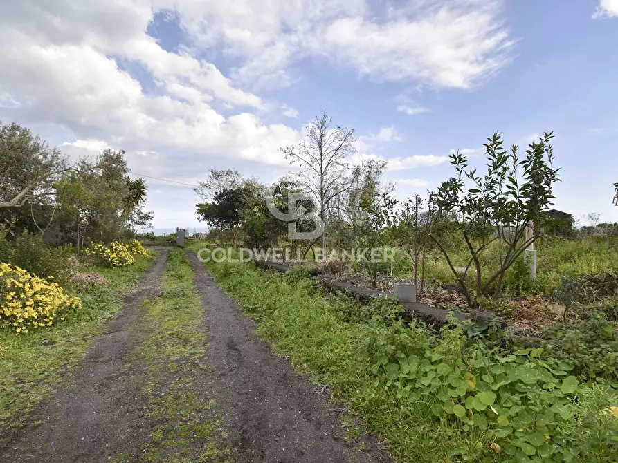 Immagine 31 di Villa in vendita  in VIa Sabaudia 5 a Acireale