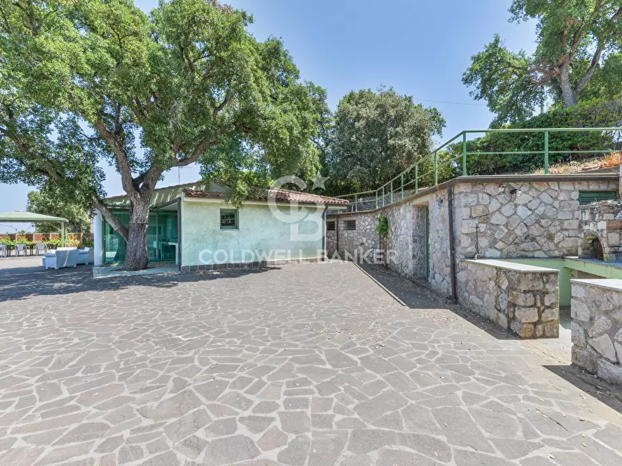 Immagine 37 di Villa in vendita  in Loc. Naregno a Capoliveri