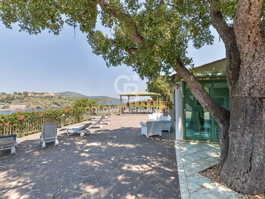 Immagine 54 di Villa in vendita  in Loc. Naregno a Capoliveri