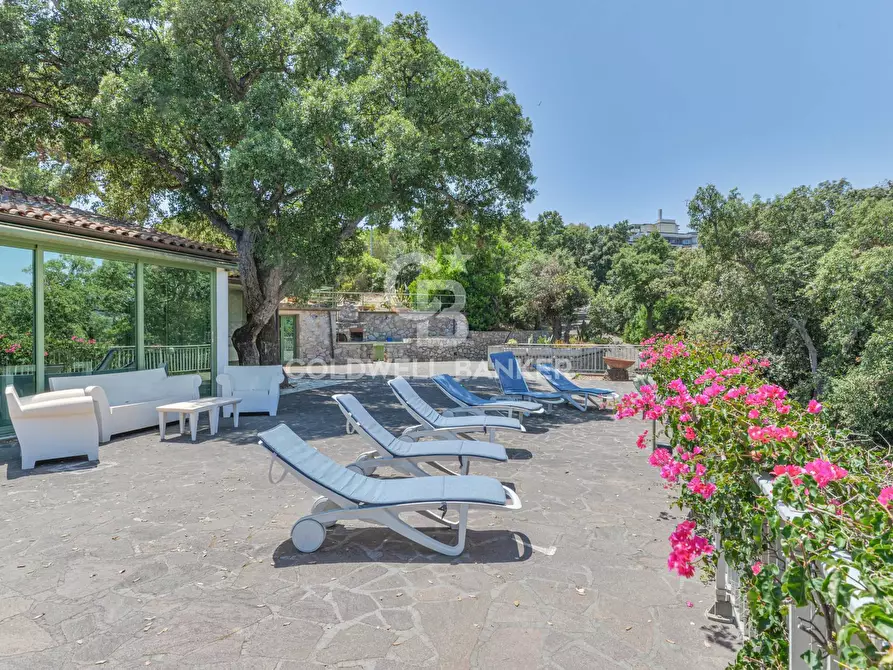 Immagine 7 di Villa in vendita  in Loc. Naregno a Capoliveri