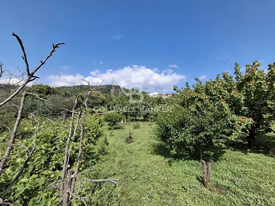 Immagine 7 di Terreno agricolo in vendita  in Via Ragonesi a Piedimonte Etneo